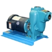 Picture of 2 HP Flomax 5 Centrifugal Pump / Motor Units, Self Priming