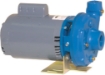 Picture of 1 HP Cast Iron Centrifugal Pump / Motor Units,  Motorpump Model 11