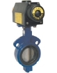 Picture of Butterfly Valve with Air Actuator, Spring Return, 4"