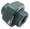 Picture of Union, Forged Steel, 1-1/4", 3000 Lb.